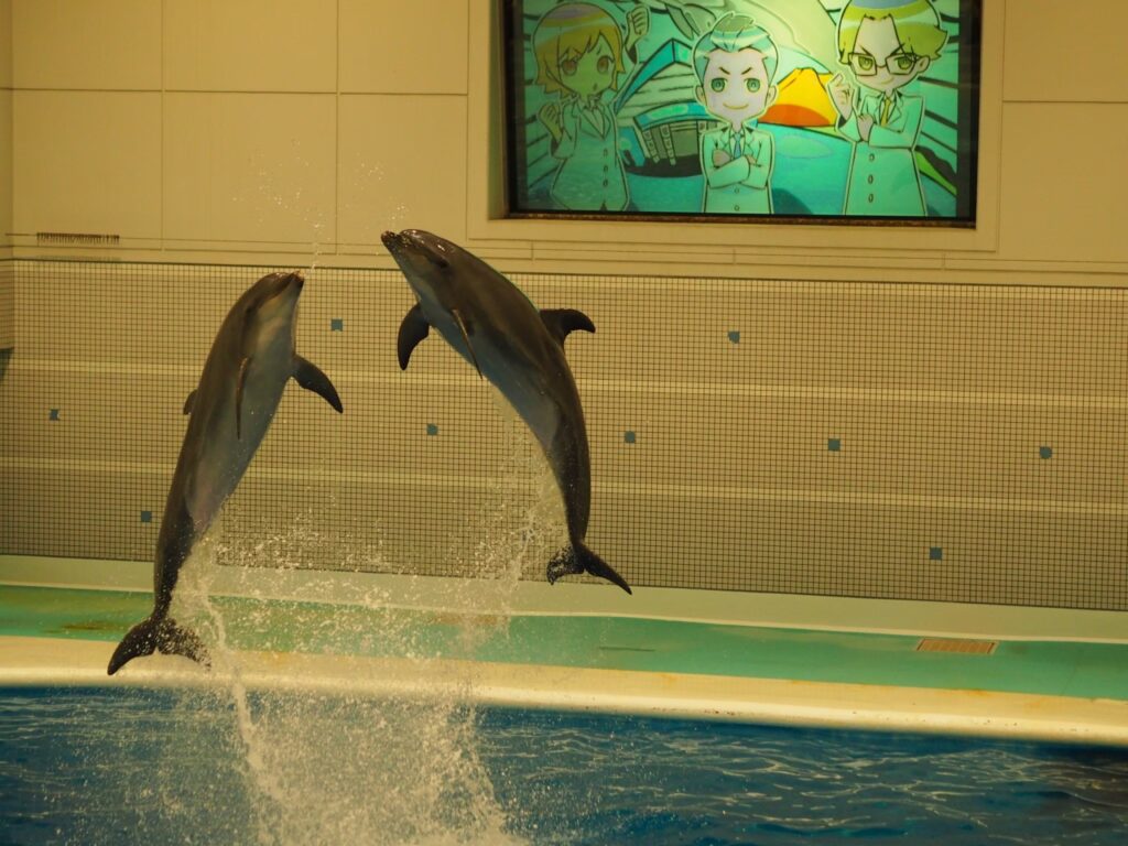 イルカショーのステージで、最高到達点まで高く美しく飛び上がった2頭のイルカの決定的瞬間
