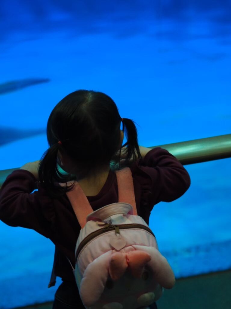 鹿児島水族館の黒潮大水槽前で、巨大なジンベエザメ「ユウユウ」に見入る3歳の娘の後ろ姿